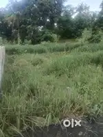 Thrissur mission quarters 10 cent plot for sale