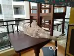 Dining table size 4 ft x 3 ft 4 seater