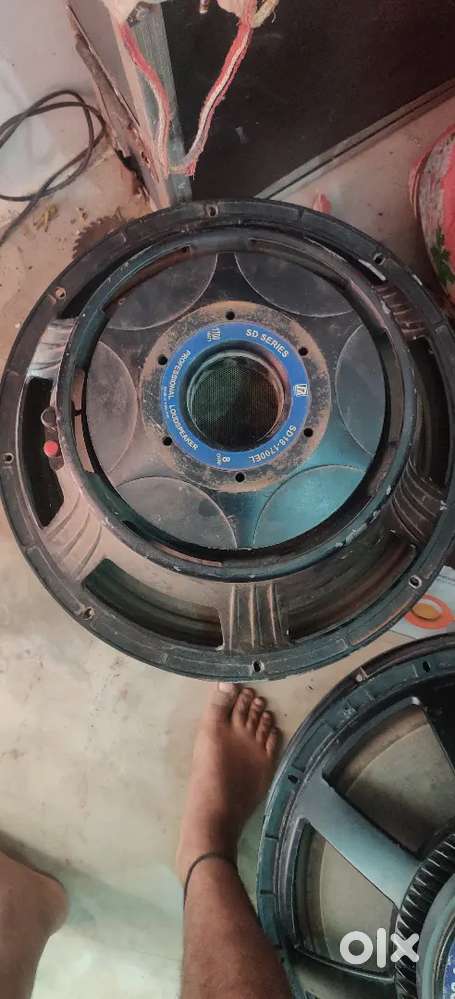 P audio  speaker 18 inch mein