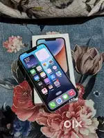iPhone 14.