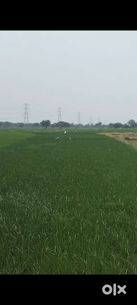 Road-Facing Red Soil Agricultural Land for Sale