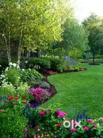 Boys, girls gardening service me job kare aur freshers bhi apply kare