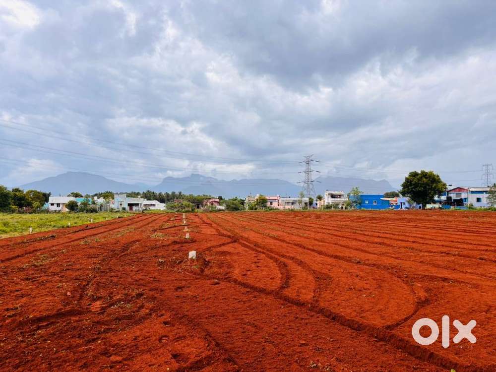 chinnalapatti land for plots