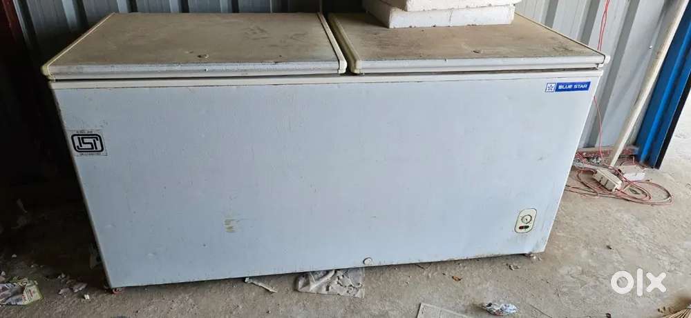 500 liters Bluestar fridge for sale