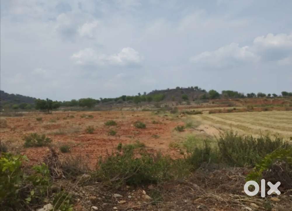 36 acers for plotting development