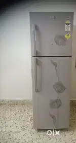 Double Door Fridge