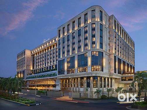 Job & Room: Fresher Waiter