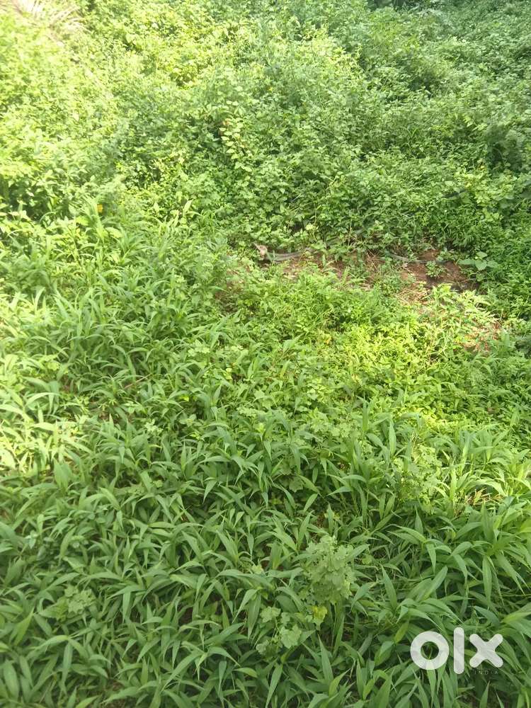 4 cent land for sale near mel thiruvattar negotiable