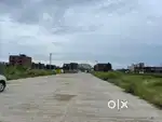 INDEPENDENT PLOT IN MOTIA AMELIA PATIALA ROAD ZIRAKPUR