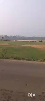 Job for Driver