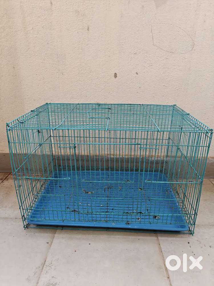 Bird cage urgent and immediate sale