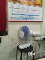 One bedroom with kitchen and attached bathroom for rent for  bachelor
