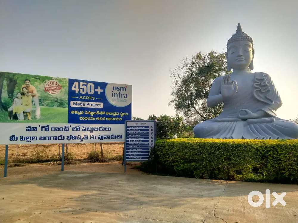 PLOTS WITH  SANDALWOOD  PLANTATION