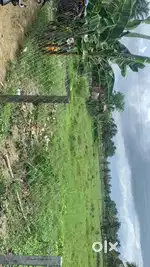 20 cent land for sale in kannadi palakkad