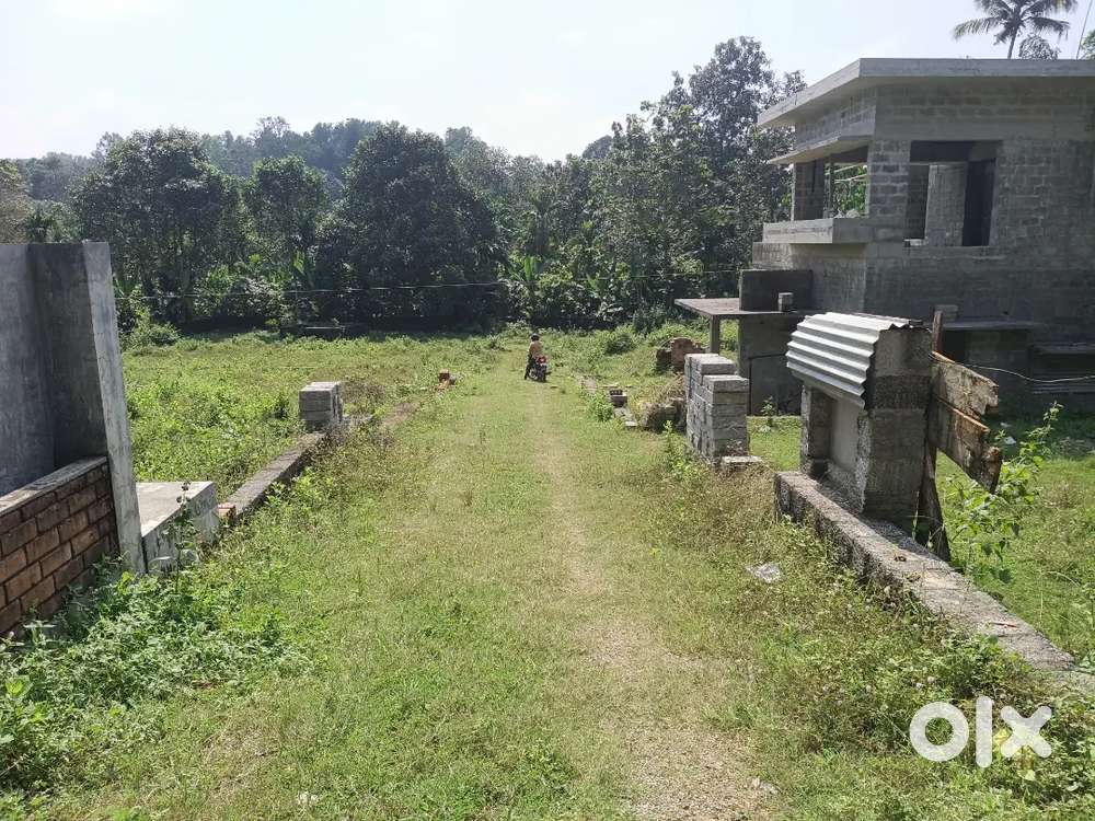 Veettor muvatupuzha kakkanad busrout frontage houseplots 3 lak only