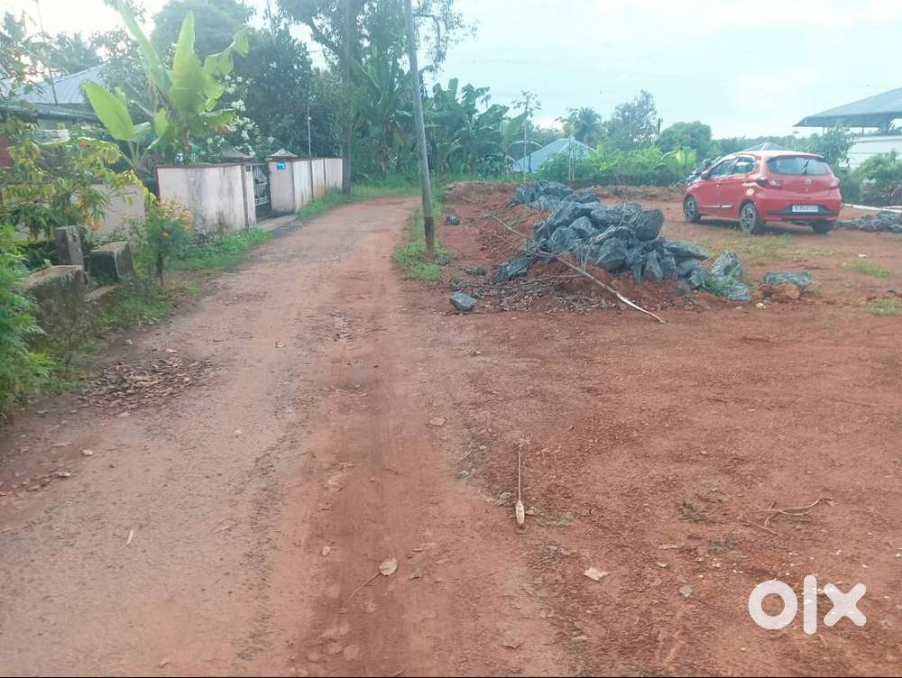 50 cent plot area for Sale near  Dhayara Padi(Punnarcode,Pazhamthotam)