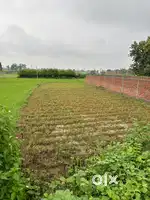 Plot For sale janipur koriyawa