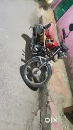 New lena hai