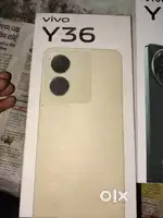 Vivo y36 phone