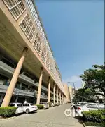 Need telecaller for real estate