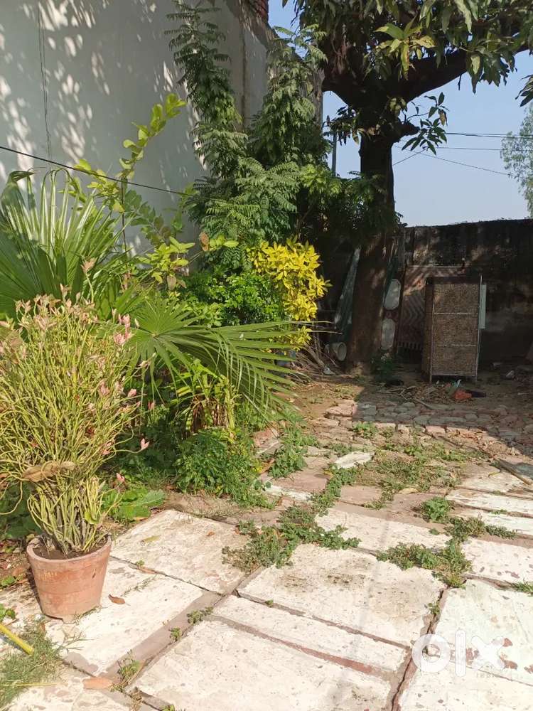 Accomodation for Boys in purani chungi.contact: