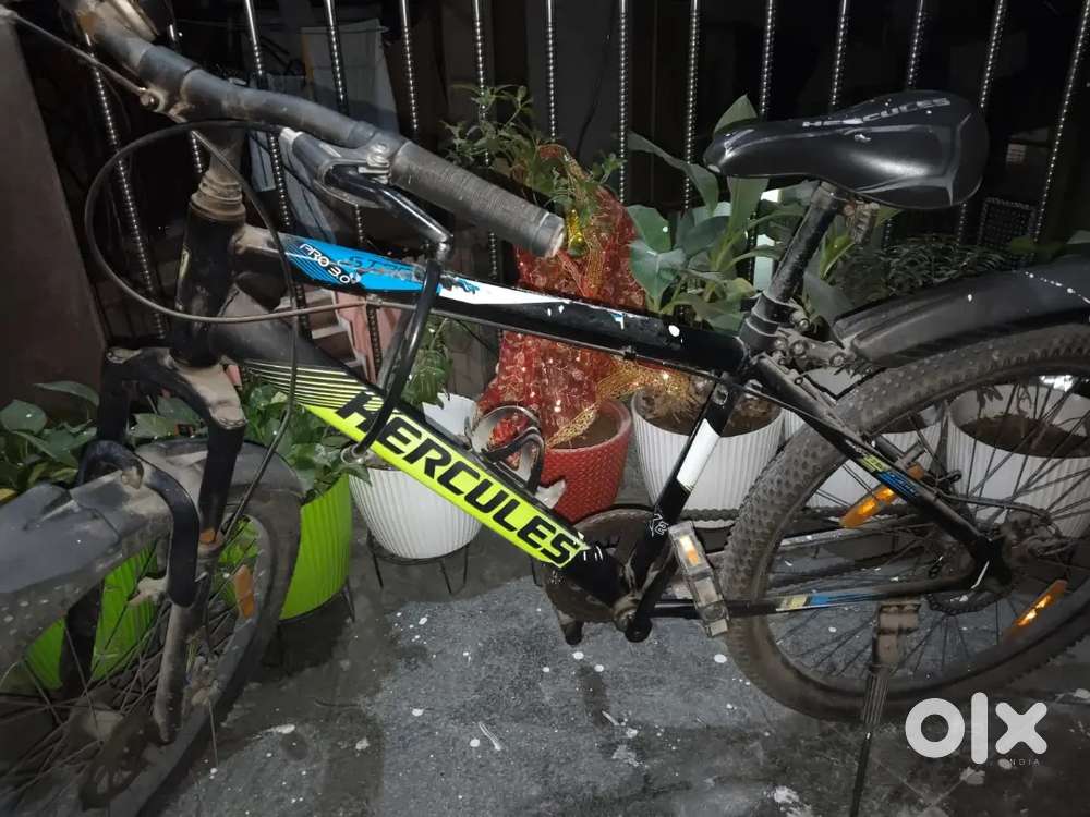 Hercules cruise bicycle