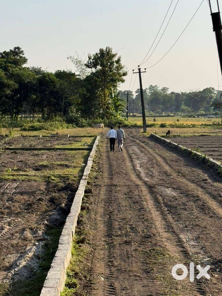 Premium Plots in RANGAPANI, Just 900 Meters from Highway