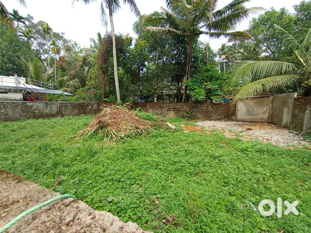 5 .cent plot for sale Thoniyakavu ,athani N.PARAVUR