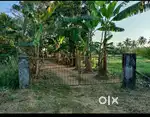 Prime location Land for sale-4 acres of land for sale - kurumali-N.H