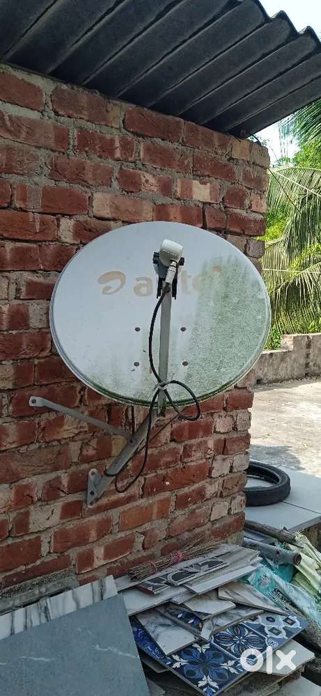 FREE DISH  tv