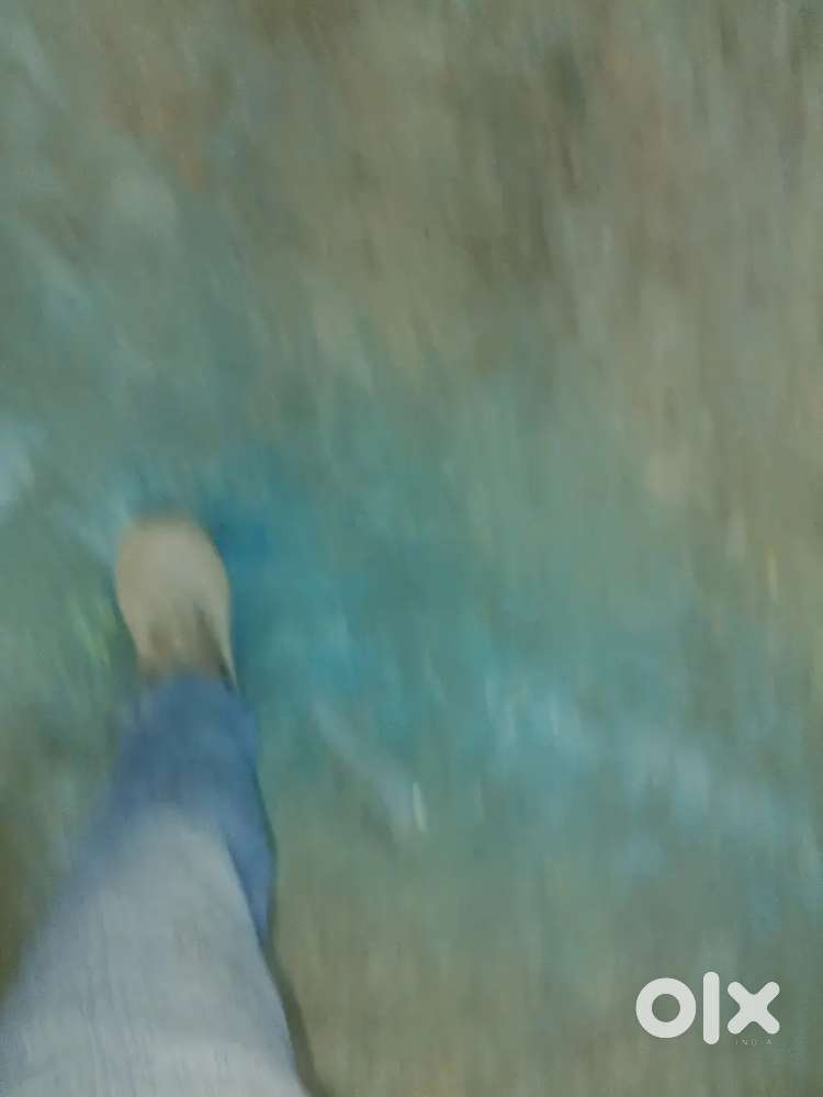 इलाहाबाद यूनिवर्सिटी से 1 किलोमीटर की दूरी पर