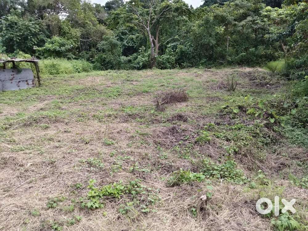 Plots for sale in nessai