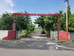 11 Lakhs , 200 Sqyrd Full LRS Warangle Highway