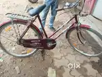 Ladies cycle captain 1.5 years old