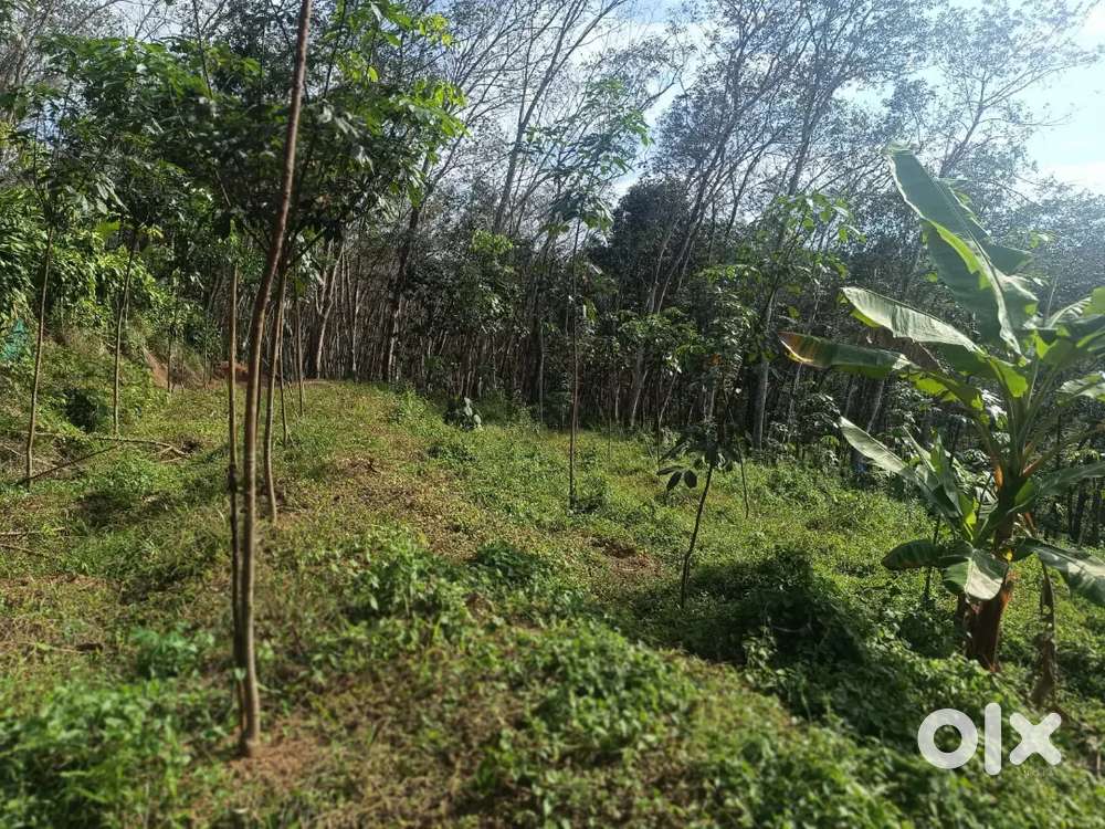 65 cents land for sale