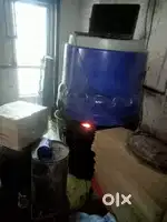 Asian paint tinting machine