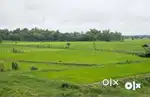 Agricultural Land