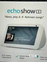 Amazon Alexa echo