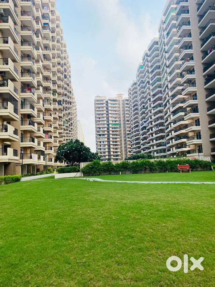 Fully furnished flat