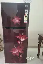 LG Refrigerator double door