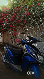 4 months vehicle