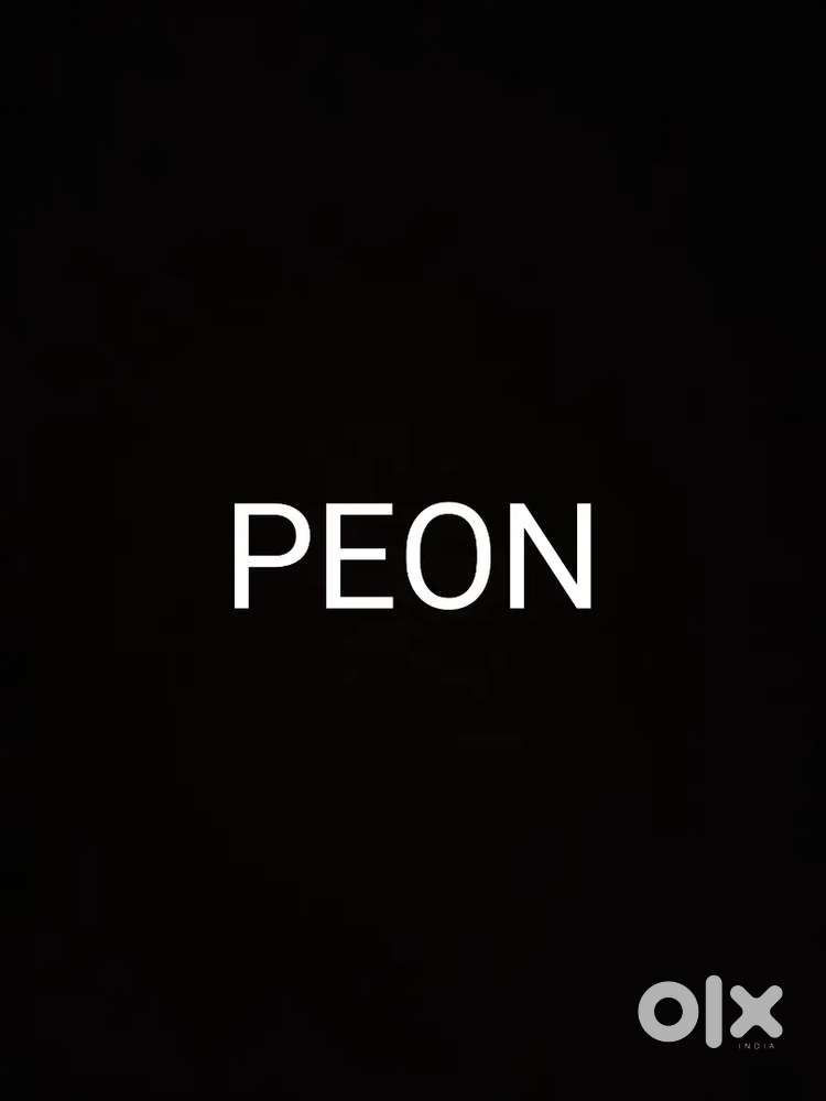 PEON saf safai