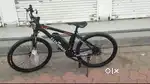 Electric bicycle - cycle