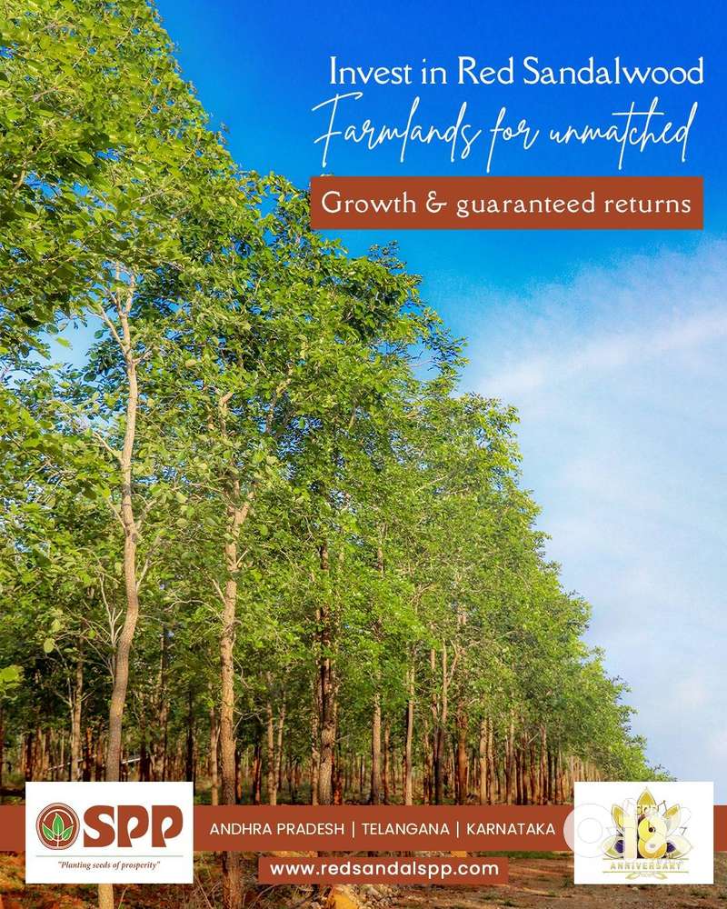 Secure 25 cents of agricultural land for just 9 lakh rupees