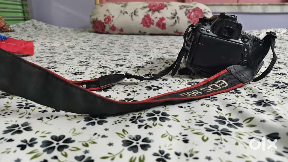 Canon80d camera