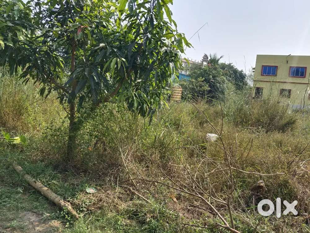 43000sqft , plot for commercial purposes in Bajpur,Khorda