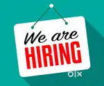 Chinese Commis needed