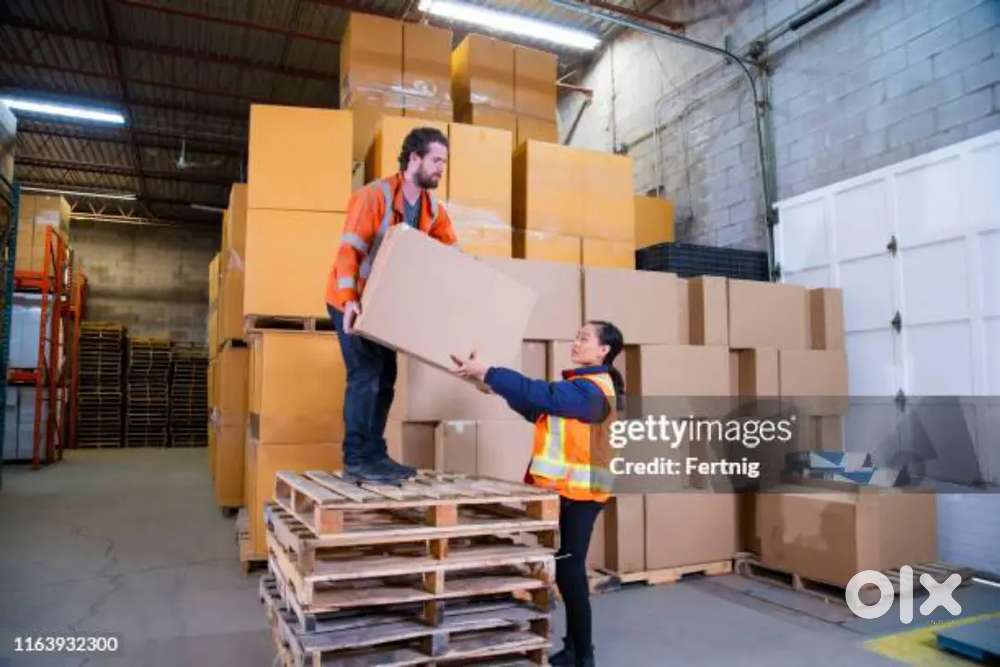 GOLDEN OFFER IN WAREHOUSE COMPANY
