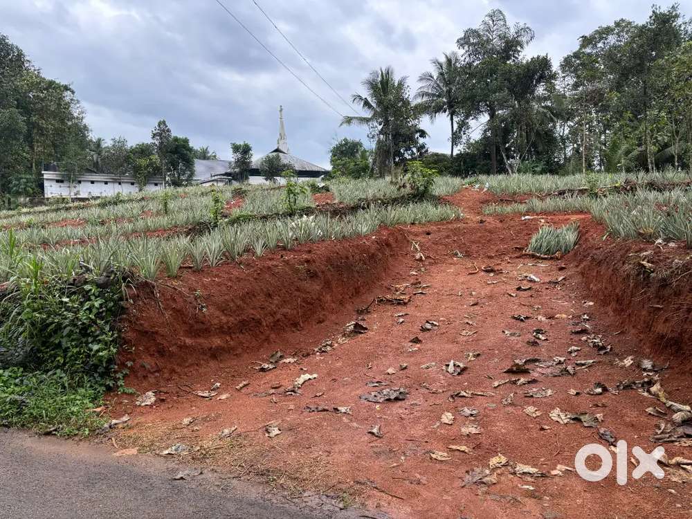 Residential Plot for Sale – Thodupuzha-Moolamattam Road, Mrala City