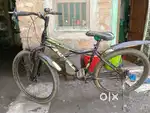 Avon cycle
